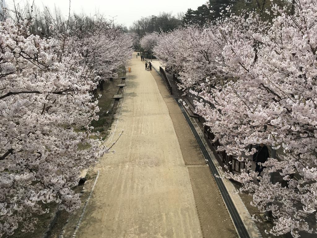 Seoul Forest Guesthouse Екстер'єр фото